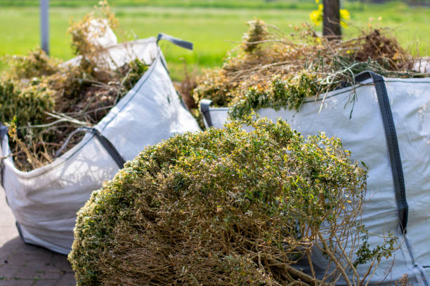 Best Furniture Removal  in Washburn, IL